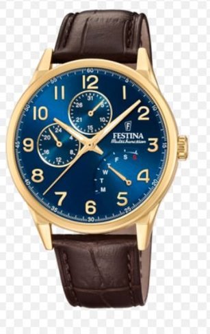 FESTINA - Acier